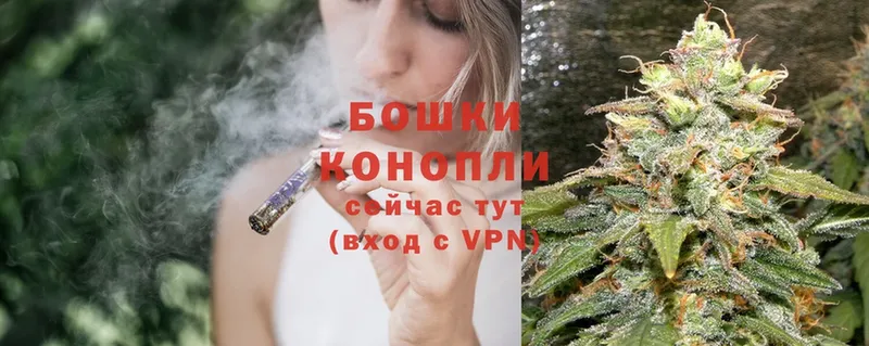 купить наркоту  kraken ONION  Шишки марихуана White Widow  Богородицк 